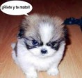 /album/fotogaleria/te-mato-jpg/